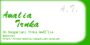 amalia trnka business card